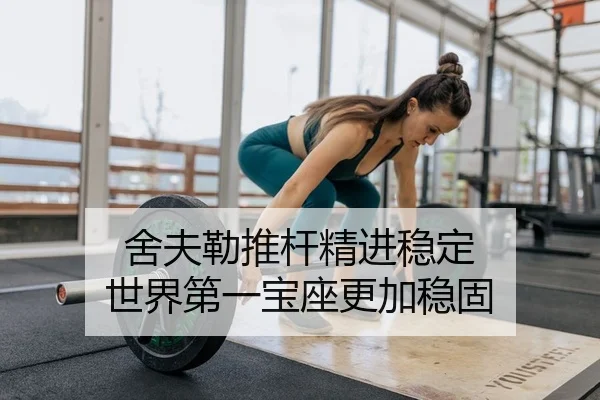 舍夫勒推杆精进稳定 世界第一宝座更加稳固